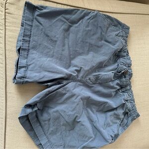 Blue Chubbies Shorts